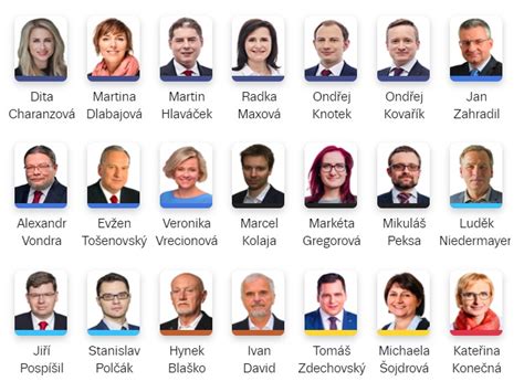volby do evropského parlamentu kandidáti